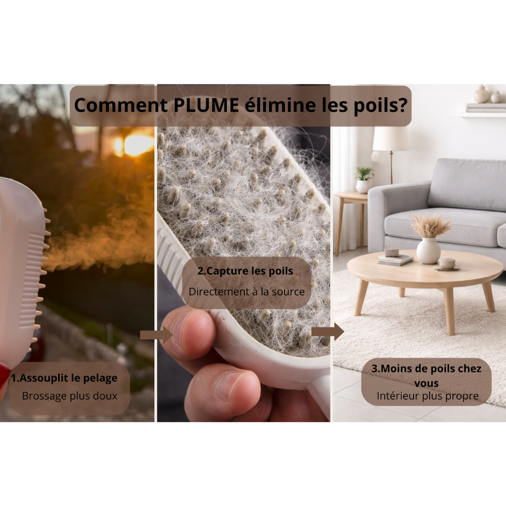 Plume Care™ | Brosse Vapeur Anti-Poils 3-en-1 pour Chien & Chat