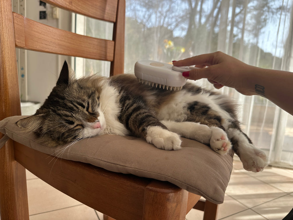 Plume Care™ | Brosse Vapeur Anti-Poils 3-en-1 pour Chien & Chat